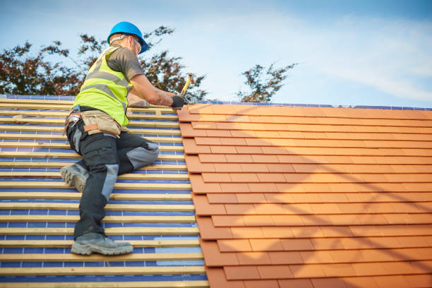 Best Roof Leak Repair  in South Greeley, WY